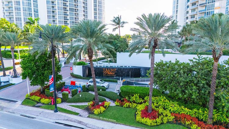 Trump Palace image #9