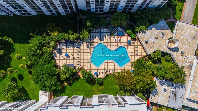 Plaza of the Americas image #6