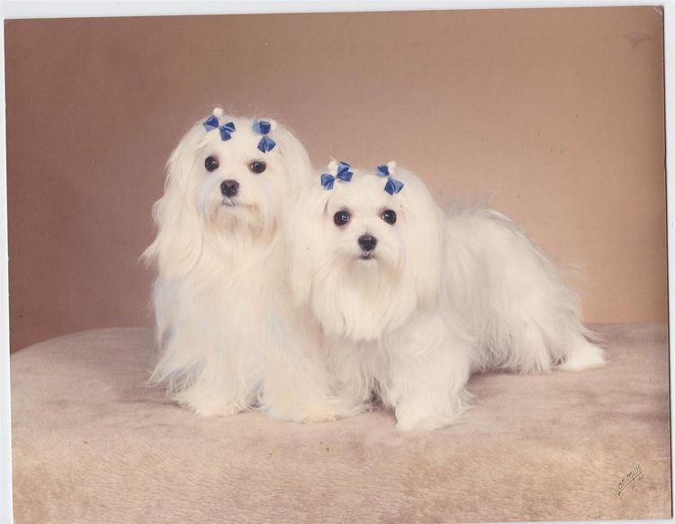 Berkley South #9C image #18