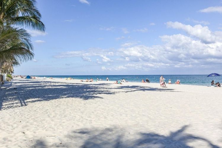 Berkley South #9C image #47