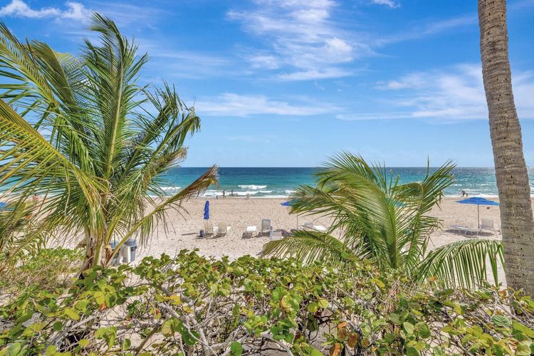 Playa Del Mar #401 image #43