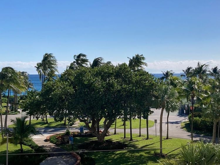 Sea Tower #407 image #30