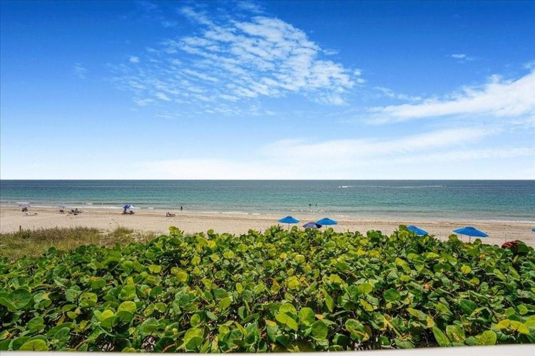 L'Ambiance #1905 image #30