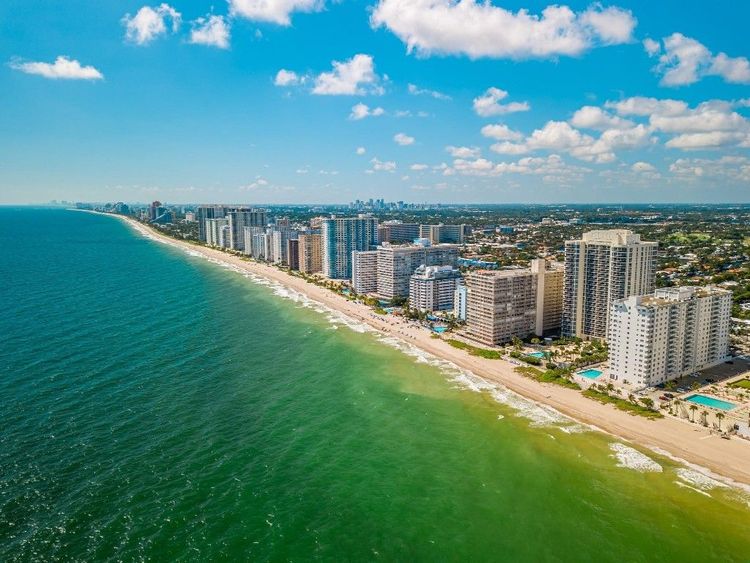 L'Ambiance #1905 image #33