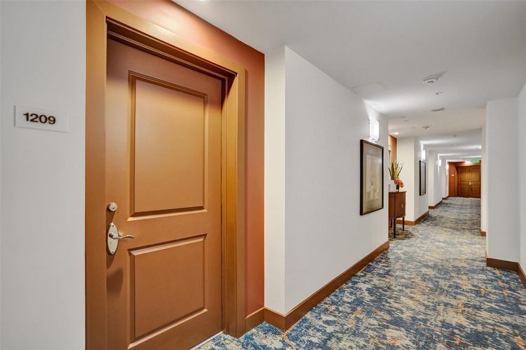 Strada 315 #1209 image #15