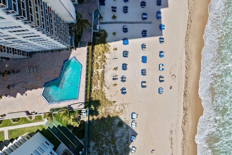 Royal Ambassador #1612 image #28