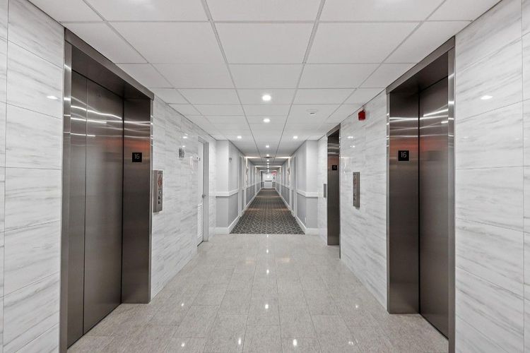 Royal Ambassador #1612 image #29