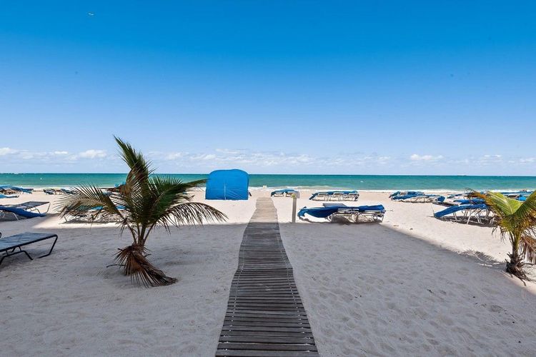 Royal Ambassador #1612 image #33