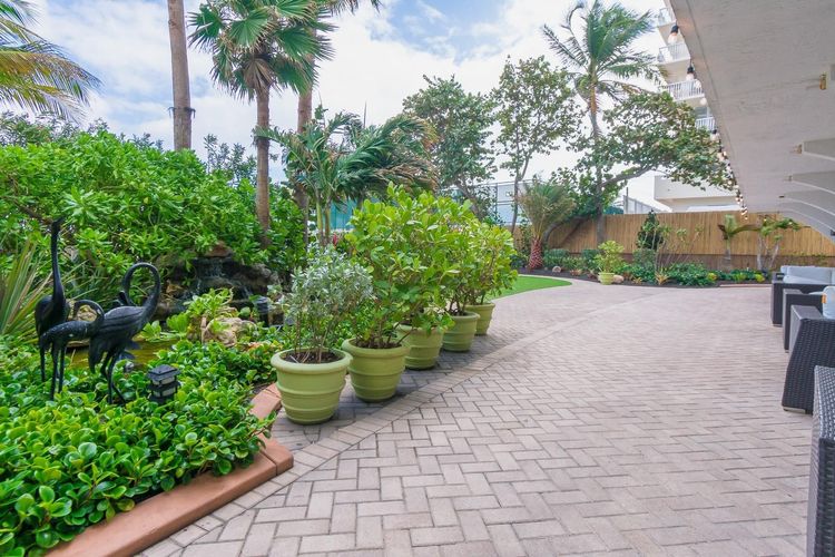 Ocean Manor #307 image #19