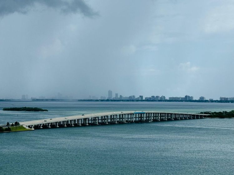 Platinum #1701 image #39