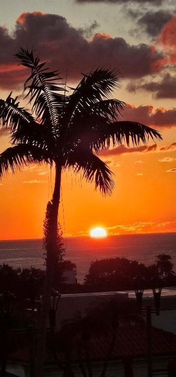 The Tides at Bridgeside Square #819 image #67