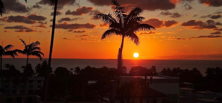 The Tides at Bridgeside Square #819 image #68