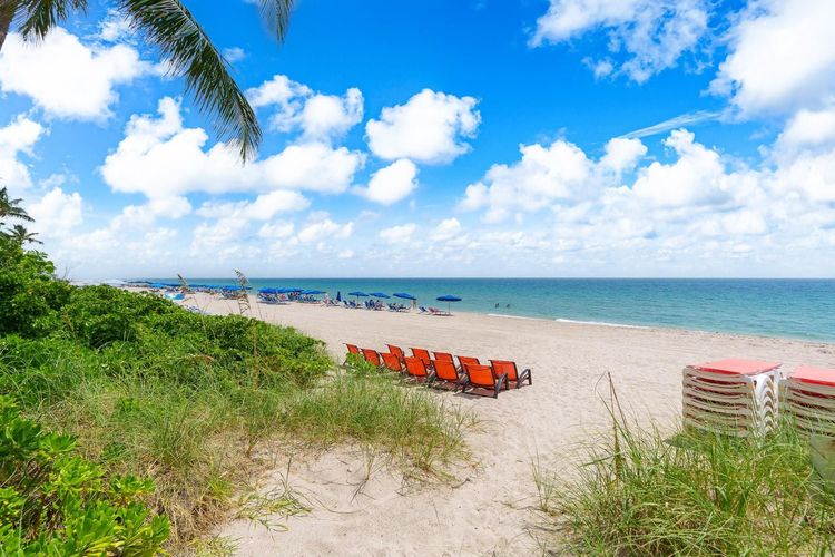 The Vue #302 image #38