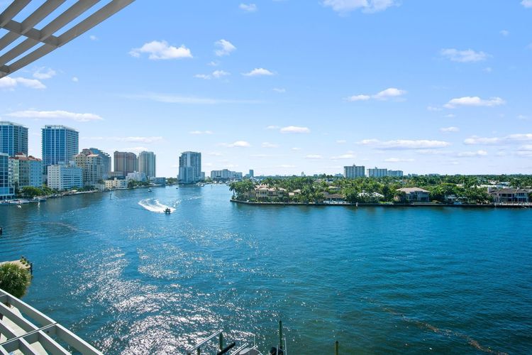 Adagio #503 image #44