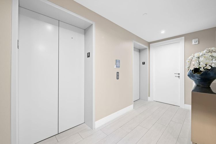 Adagio #503 image #46