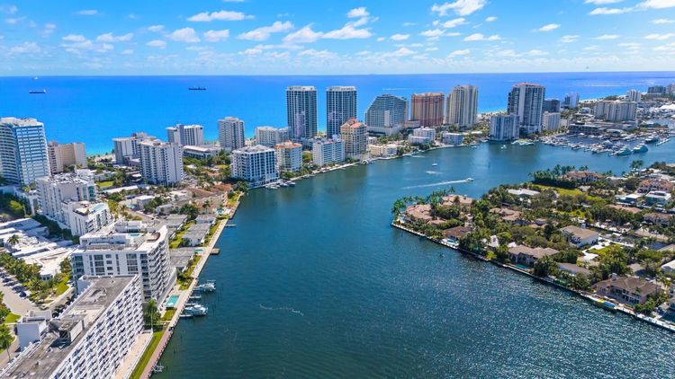 Adagio #503 image #52