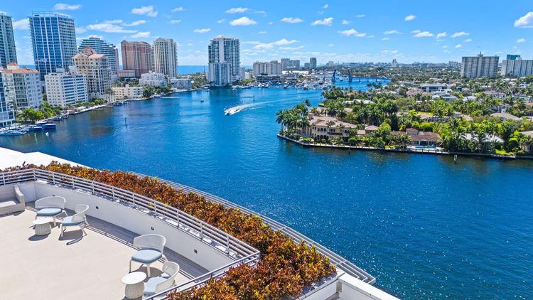 Adagio #503 image #56