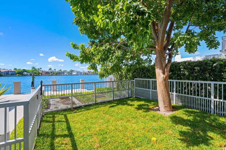 Adagio #503 image #69