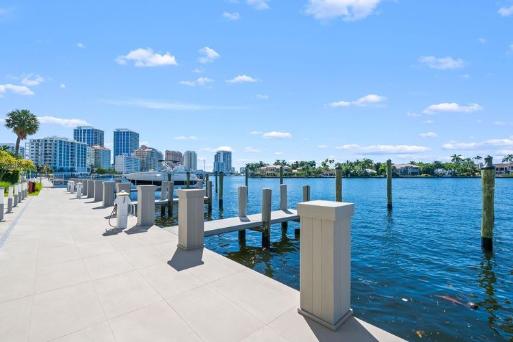 Adagio #503 image #70