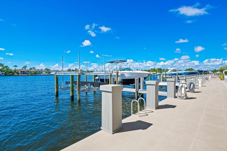 Adagio #503 image #72