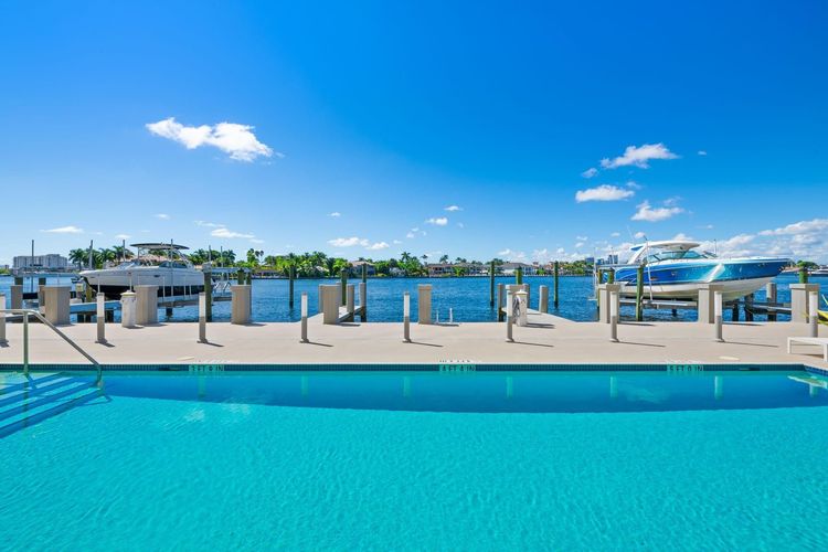 Adagio #503 image #74