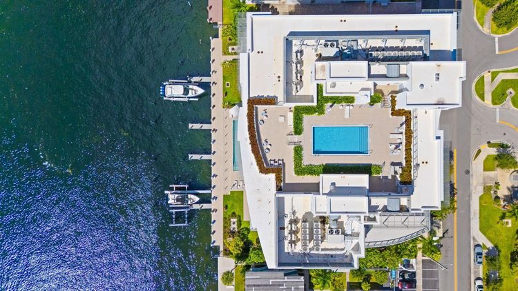 Adagio #503 image #8