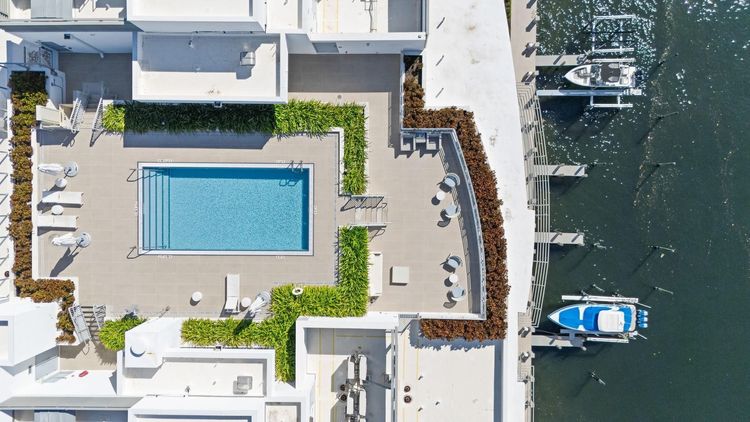 Adagio #503 image #9