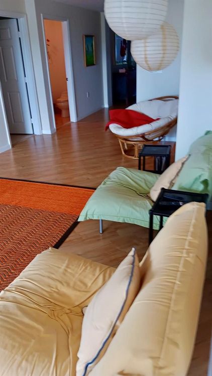 L'Ambiance #704 image #20