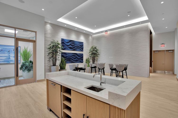 Selene Oceanfront Residences #E-2501 image #72