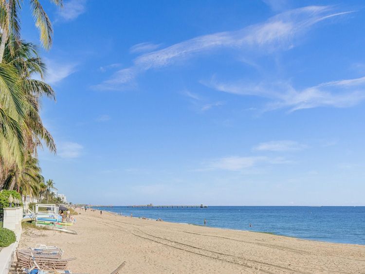 Plaza South #25H image #56