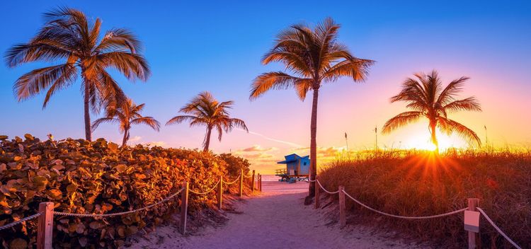 Miami news