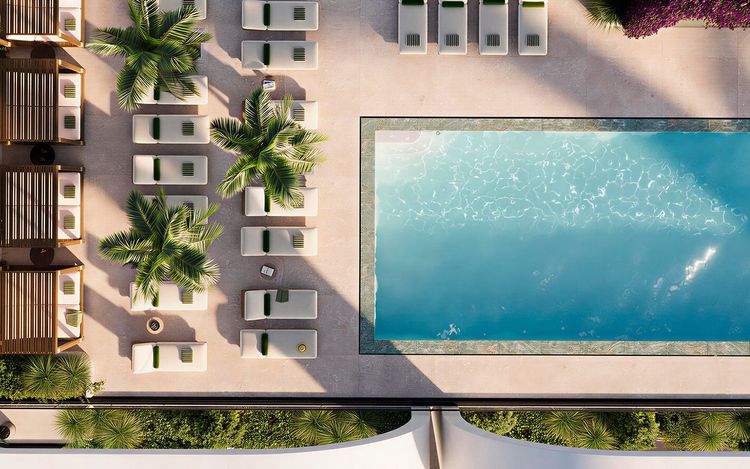 House of Wellness image #11