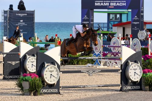 Top 11+ Standout Things to Do in Miami in April 2026